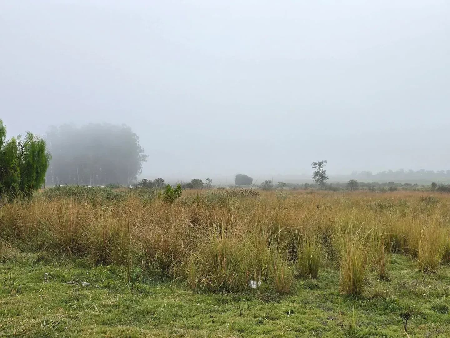 Paisagem do Vale do Paraíba com frio e neblina. Imagem de arquivo.